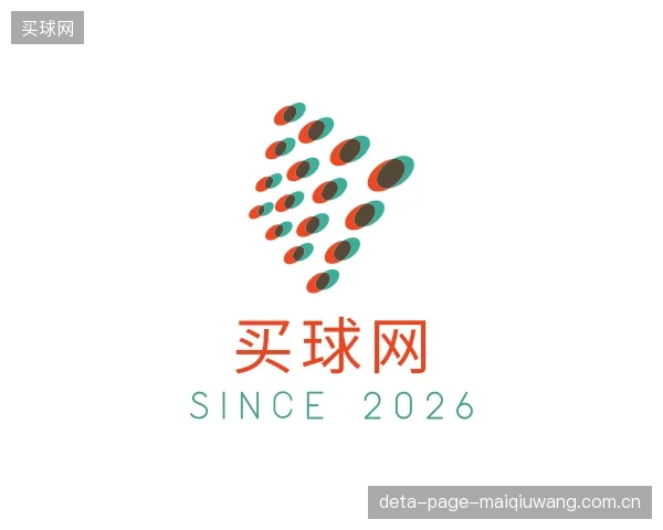 关于买球网团队